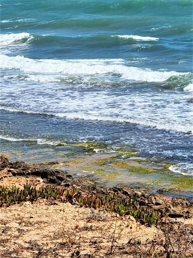 Cabo Cervera Primera Linea Apartamento De Lujo Torrevieja Kültér fotó